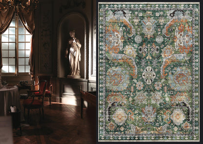 VORNELO Vintage Boho Rugs for Living Room (6' x 9')