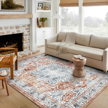 VORNELO Vintage Boho Rugs for Living Room (6'x9')